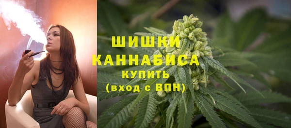 молекула духа Белоозёрский