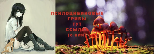 кристаллы Богородицк