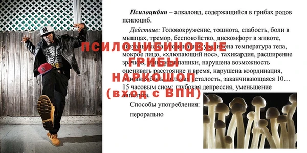 бошки Богородск