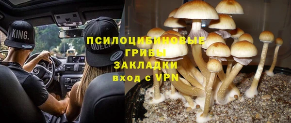 прущая мука Богданович