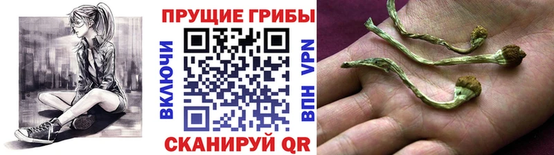 Галлюциногенные грибы ЛСД  сколько стоит  Казань 